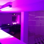 showroom04